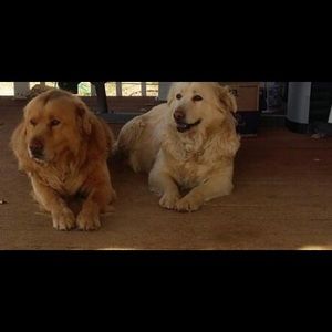 Meet your Posher, Alejandro